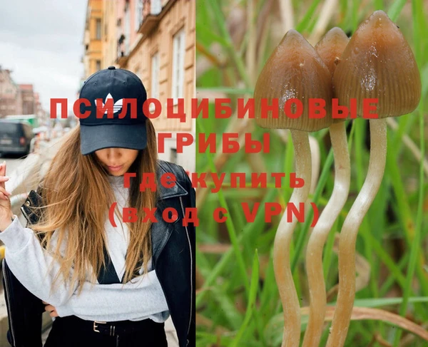 мяу мяу мука Алзамай