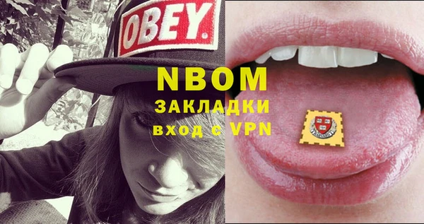 хмурый Алексин