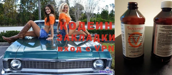хмурый Алексин