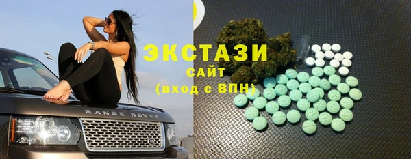 хмурый Алексин