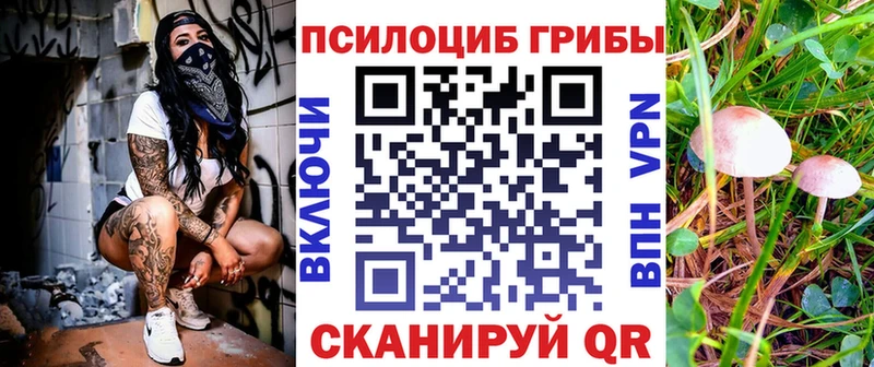 Галлюциногенные грибы прущие грибы  Киреевск 