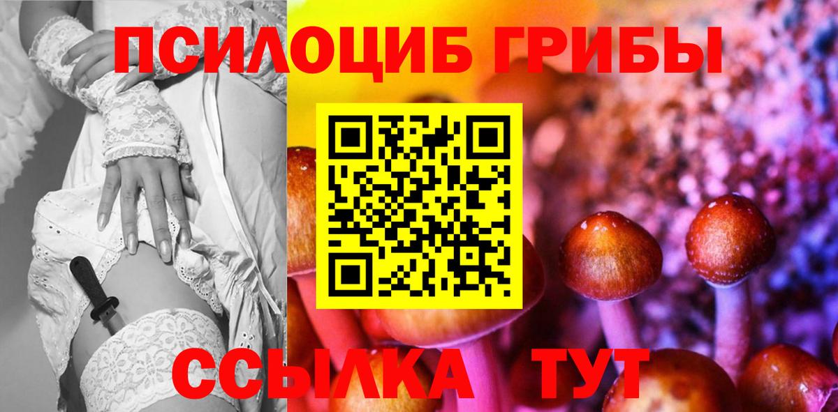 купить закладку  Вход с VPN  Киреевск  Псилоцибиновые грибы мухоморы 