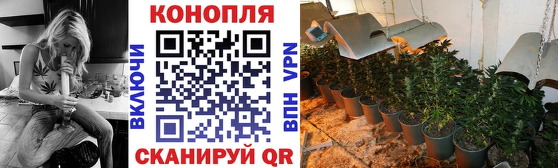 цена наркотик  Киреевск  Канабис тримм 